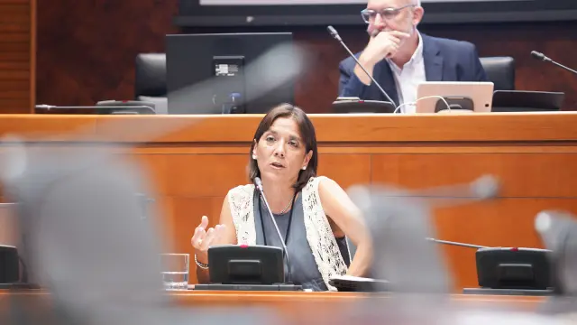 Ana Gómez, interventora general del Gobierno de Aragón, este lunes, durante su comparecencia.