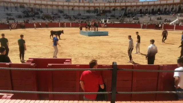 Una suelta de vaquillas celebrada en la plaza de toros de Teruel el pasado mes de mayo.