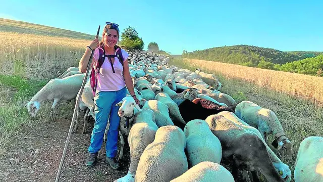 La ganadera Judit Ballarín durante la trashumancia junto a sus 800 ovejas, que realiza entre los pueblos de Altorricón y Merli.