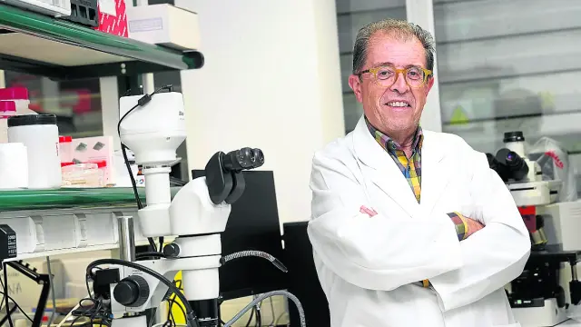 Javier Lucientes, siempre a pie de obra, en el laboratorio de la Facultad de Veterinaria.