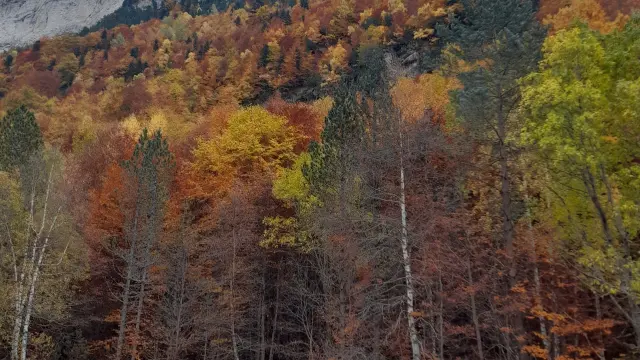 El Parque Nacional de Ordesa y Monte Perdido despliega en otoño un colorido espectacular.
