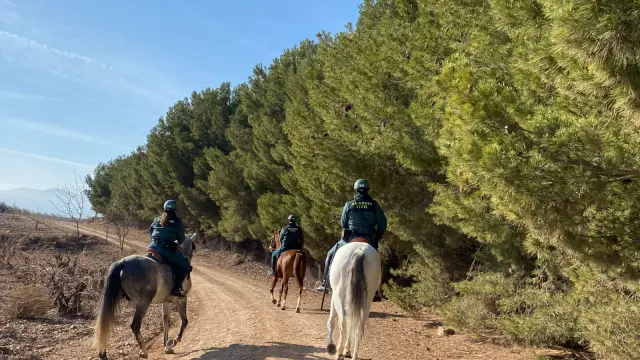 Escuadrón de caballería de la Guardia Civil en la comarca de Valdejalón.