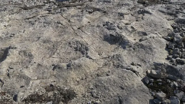 Huellas de dinosaurios saurópodos ubicadas en el yacimiento “Antena”, en Cedrillas (Teruel)