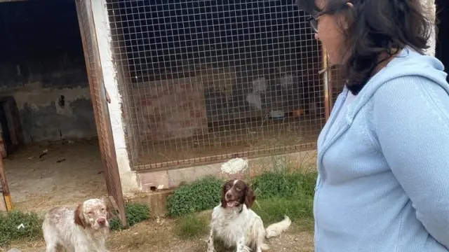 Azucena Gallego, presidenta de la Apap, con dos de los perros acogidos.