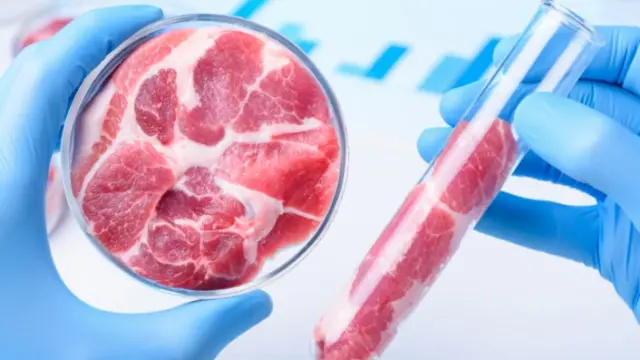 La carne cultivada, sintética o carne de laboratorio (lab-grown meat) ya es una realidad