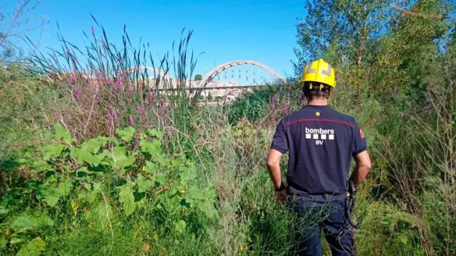 Dotaciones terrestres, aéreas y acuáticas de bomberos buscan a un hombre que habría podido caer al río Ebro a su paso por Mora de Ebro