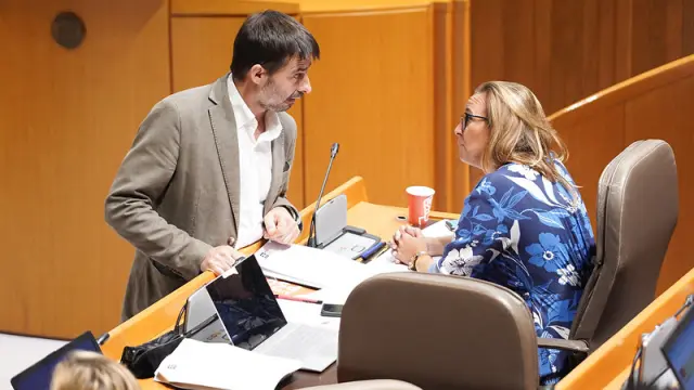 Álvaro Sanz (IU) habla con Mayte Pérez (PSOE) en un momento del pleno de las Cortes este jueves