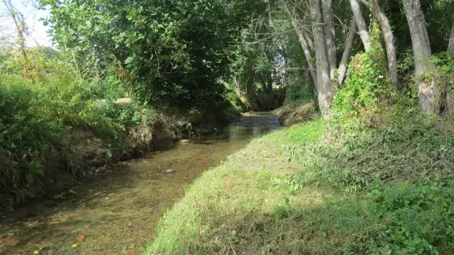 Imagen cedida por la CHE del río Queiles aguas abajo de Tarazona.
