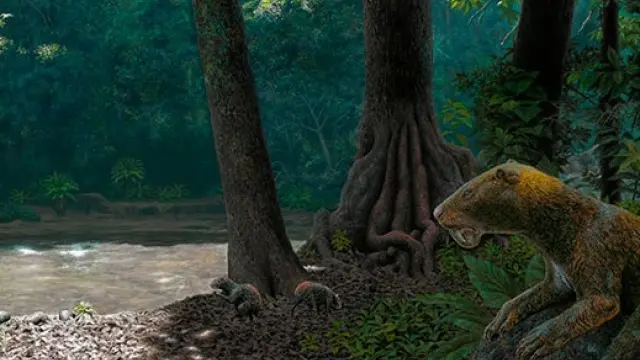 Anachlysictis gracilis acechando su presa en el paisaje de hace 13 millones de años, donde actualmente se ubica el desierto de La Tatacoa (Colombia).