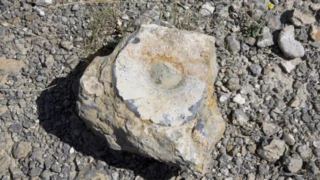 La localidad de Valdejalón cuenta con un amplio patrimonio de restos fósiles
