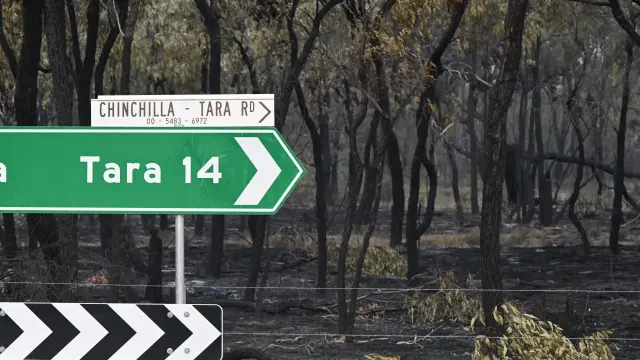 Un bosque calcinado tras el incendio en Tara
