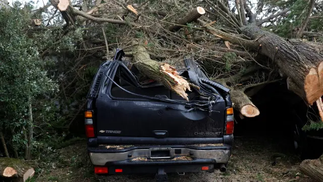Un árbol caído sobre un vehículo en Clohars-Carnoet en Francia