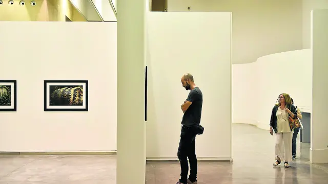 Una de las salas del CDANen la inauguración de la exposición Simbiosis, de Rafael Navarro.