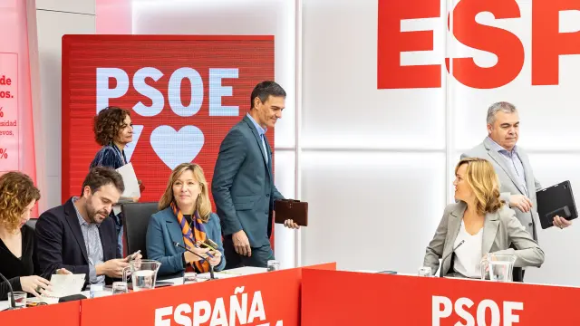 El presidente del gobierno Pedro Sánchez, durante la reunión de la Comisión Ejecutiva Federal del PSOE