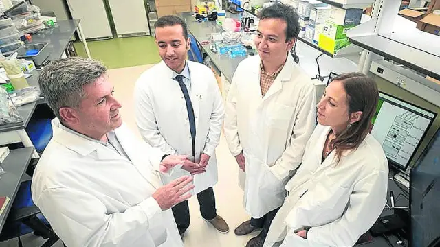 Conejo-García, a la izquierda, y Anadón (derecha), junto a otros dos compañeros del laboratorio.