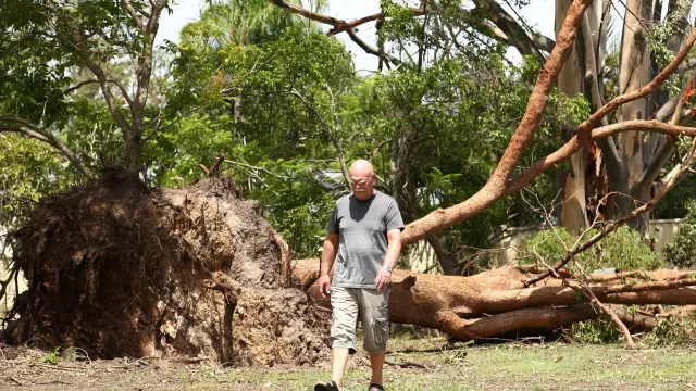 Gold Coast (Australia), 27/12/2023.- A man walks next to a fallen tree after a storm in Oxenford on the Gold Coast, Queensland, Australia, 27 December 2023. Storms ravaging Queensland have claimed six lives since Christmas Day with one person missing in floodwaters. (tormenta) EFE/EPA/JASON O'ÄôBRIEN AUSTRALIA AND NEW ZEALAND OUT