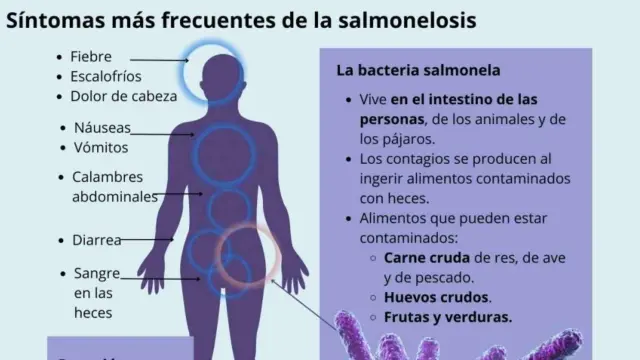 Síntomas de la salmonelosis. Fuente: mayoclinic.org