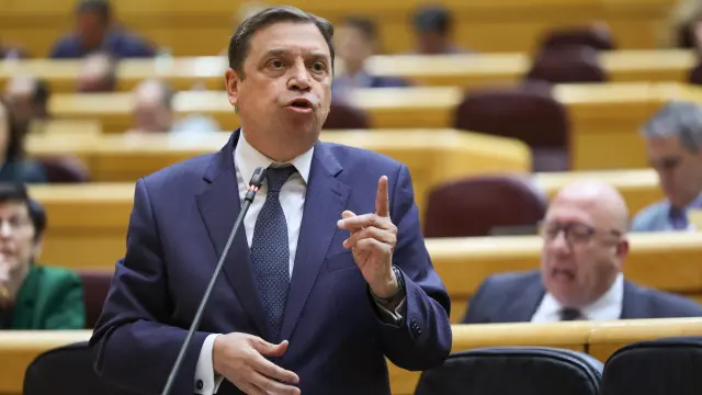 El ministro de Agricultura, Luis Planas, interviene en la sesión de control al Gobierno en el pleno del Senado.