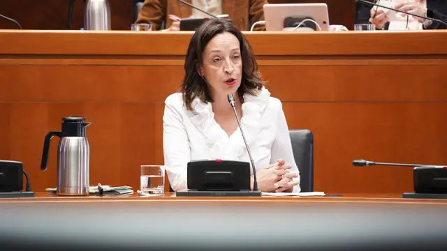 Carmen Susín, este martes, durante su intervención en la comisión de Bienestar Social y Familia de las Cortes de Aragón