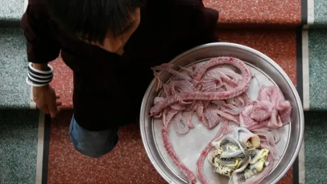 El camarero de un restaurante de Hanoi (Vietnam) sirve un plato de carne de serpiente