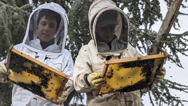 Natalia Láinez (a la izquierda) y Lucía Ibáñez revisan el estado de sus abejas.