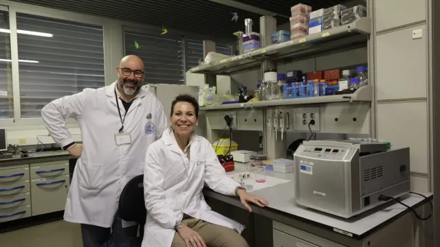 Los científicos Clara Malo e Iñaki Ochoa, del grupo de investigación TME Lab del I3A, en el laboratorio.