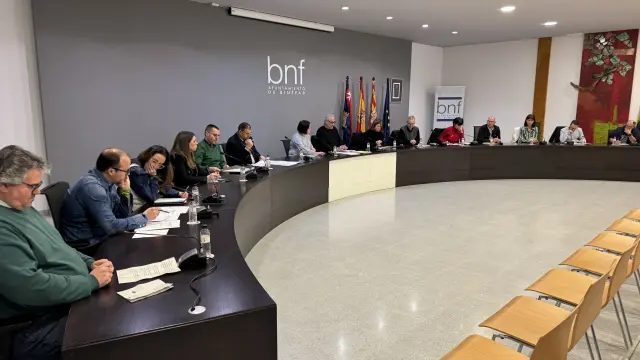 Sesión de pleno del Ayuntamiento de Binéfar esta viernes.