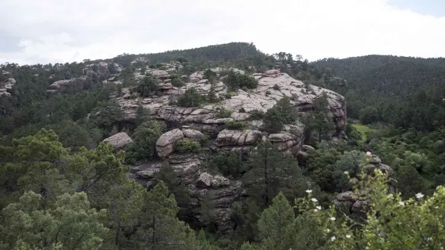 Vista de los pinares de rodeno en la ruta por este impresionante Paisaje Protegido de Teruel