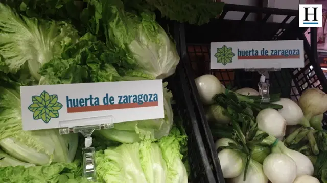 Un acuerdo entre el Ayuntamiento, la UAGA, la Asociación de Detallistas de Frutas y Plataforma Ciudadana se reparte los carteles en 60 fruterías de Zaragoza