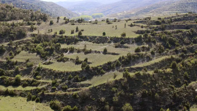 El proyecto analiza cómo la correcta gestión del territorio creando paisajes en mosaico mejora las condiciones ambientales y socioeconómicas de la media montaña.