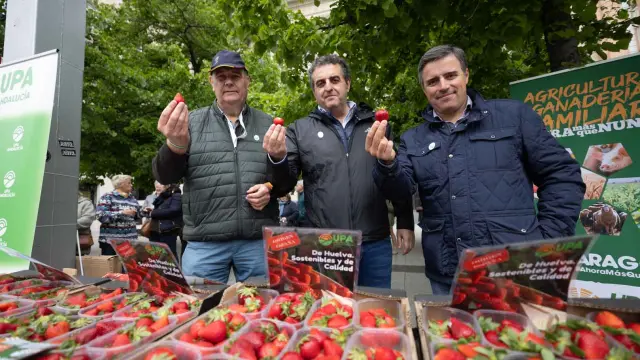 Protesta para pedir más consumo de fresa española en Zaragoza