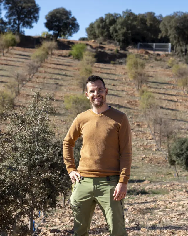 Daniel Brito, en una plantación de encinas y robles para producir trufa negra en Sarrión.
