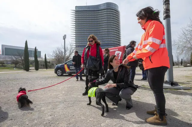 Tatiana Gaudes acaricia a un perro en la presentación de la segunda Andada Canina, en el parque del Agua.