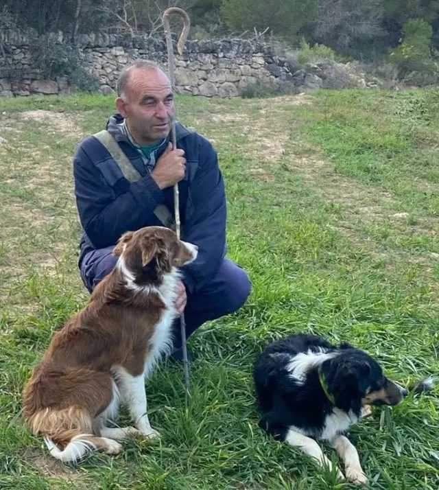 El pastor y presidente de la ABCT Teruel, Juan Ramón Buj, con dos de sus perros Border Collie.