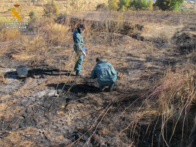 Efectivos del Seprona de la Guardia Civil investigan un incendio forestal