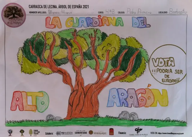 Uno de los dibujos presentados al concurso escolar sobre la Carrasca de Lecina.