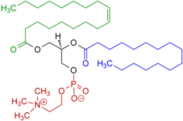 Ejemplo de fosfatidilcolina, uno de los tipos de fosfolípidos presentes en la lecitina. Rojo: colina y grupo fosfato; negro: glicerol; verde: ácido graso monoinsaturado; azul: ácido graso saturado.