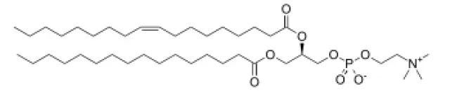 Las lecitinas tienen un extremo lipófilo, afín al aceite, y otro hidrófilo, afín al agua.