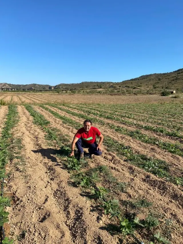David Rovira entre sus cultivos de okra en Nonaspe.
