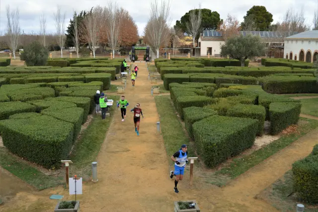 Los corredores, en la V edición del Gran Premio La Cartuja-Movera-La Alfranca.