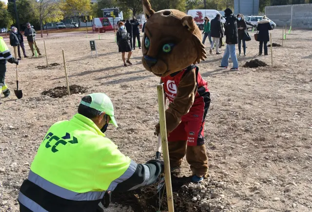 La mascota del club, Link, planta un árbol en El Bosque de la Marea Roja.