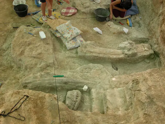 Foto del yacimiento de Toril 3A (Daroca, Zaragoza) de 12.65 millones de años en donde se han encontrado restos de Aragonictis araid.