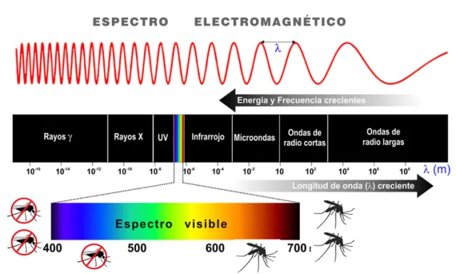La luz es una forma de radiación electromagnética, un tipo de energía que viaja en ondas. En conjunto, todos los tipos de radiación conforman el espectro electromagnético. El espectro visible para el ojo humano es la radiación cuya longitud de onda está aproximadamente entre 400 y 700 nm. Los mosquitos prefieren las longitudes de onda superiores a los 600 nm.