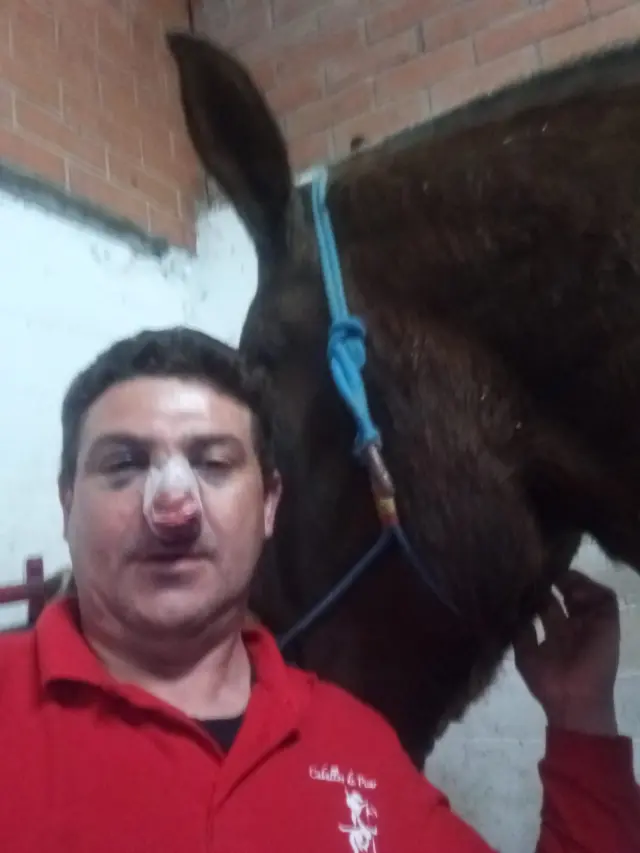 El monosabio Víctor Manuel Pardo, una vez curado, con el caballo con le coceó, Pimpi.