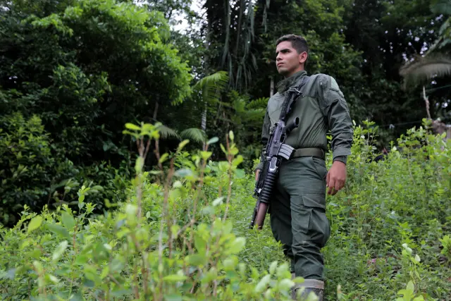 Policía antinarcóticos hace guardia durante operativo de erradicación en plantación de hoja de coca en Tumaco