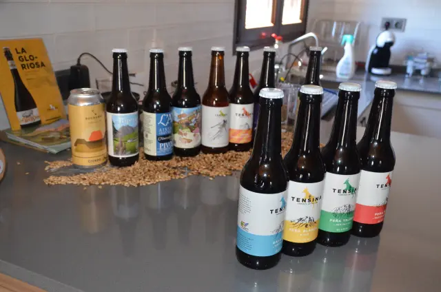 La amplia variedad de cervezas Tensina.