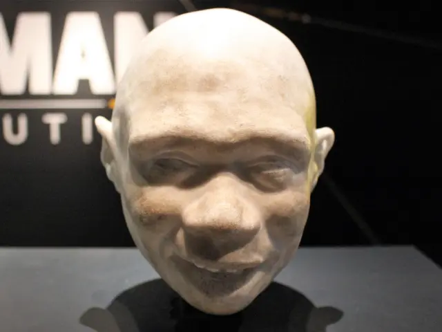Recreación del rostro de un niño de Homo antecesor en el Museo de Historia Natural de Londres.