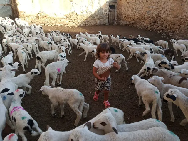 La casa rural Chulilla, en el Maestrazgo, invita a los visitantes a ser pastores por un día