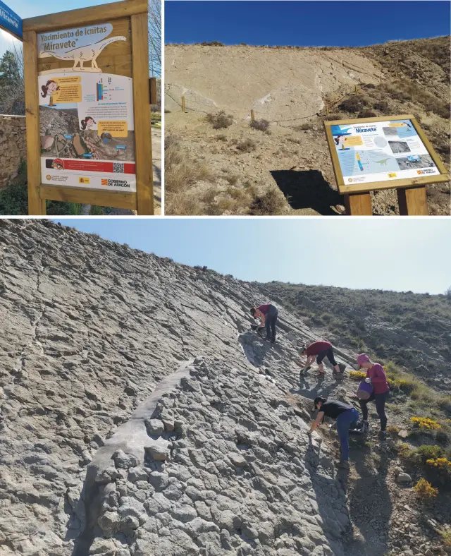 Adecuación museográfica y trabajos de la Fundación Dinópolis en un yacimiento de icnitas en Miravete de la Sierra (Teruel).