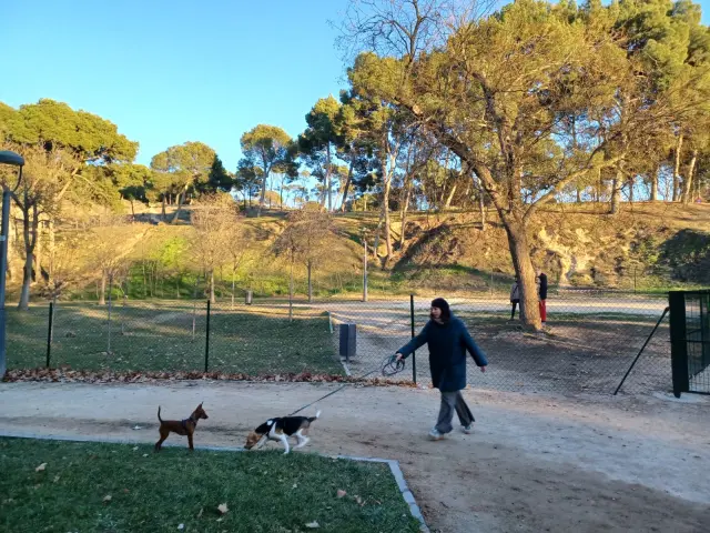 qué tan grande debe ser un parque para perros